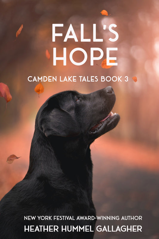 Fall's Hope: A Heartfelt and Persuasive Piece of Women's Fiction EBOOK